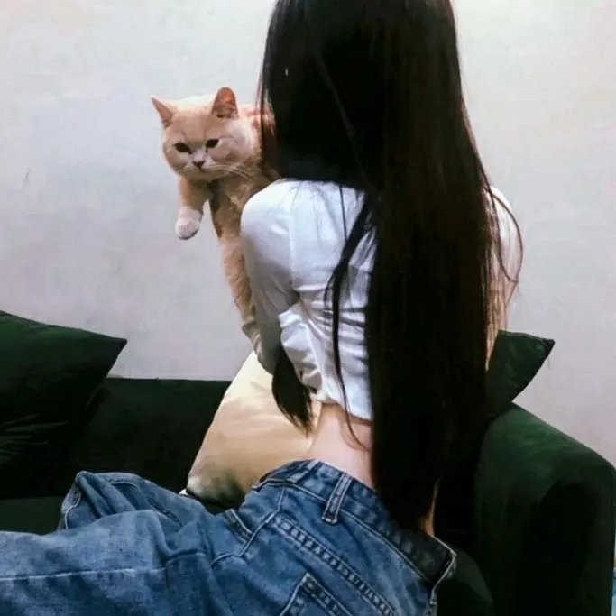 状态更新