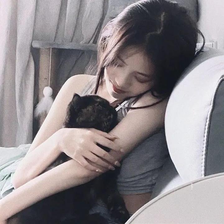 贪婪2019